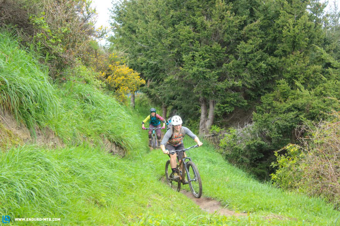One of Nelson's stock favourite trails - Firball