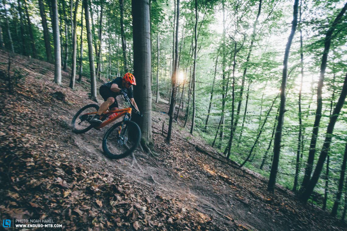 Like a hunted hare, the Devinci Troy Carbon hits the trails hard with efficiently reckless abandon.