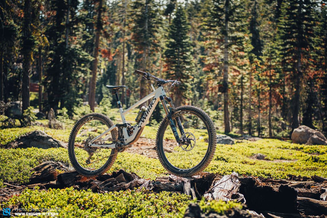 The new Specialized Enduro 29 in Californian woodland