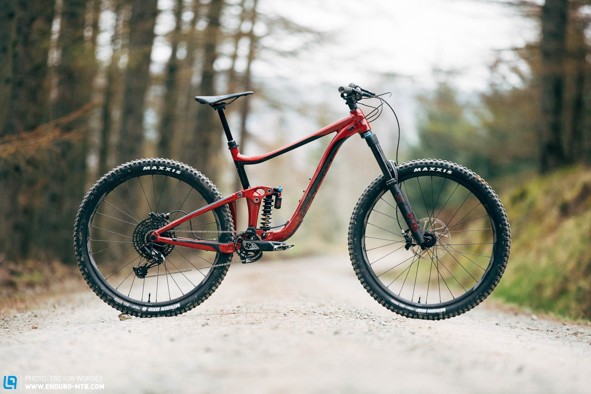 Giant Reign 29 SX review